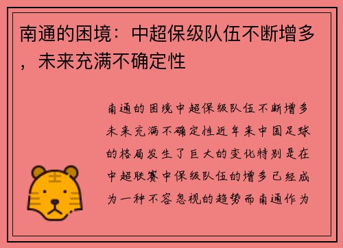 南通的困境：中超保级队伍不断增多，未来充满不确定性