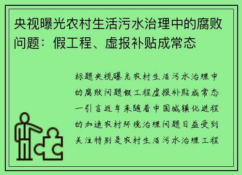 央视曝光农村生活污水治理中的腐败问题：假工程、虚报补贴成常态